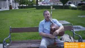 Felépülés csípőprotézis műtét után Dr. Molnár Péter segítségével
